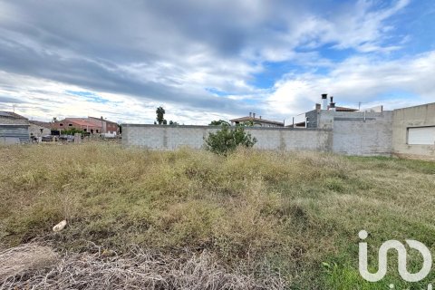 Terreno in vendita a Deltebre, Tarragona, Spagna 689 mq. N° 185583 - foto 10