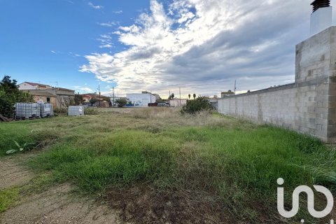 Terreno in vendita a Deltebre, Tarragona, Spagna 689 mq. N° 185583 - foto 5