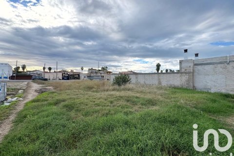 Terreno a Deltebre, Tarragona, Spagna 689 mq. N° 185583