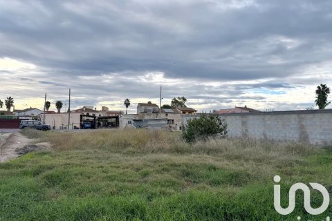 Terreno in vendita a Deltebre, Tarragona, Spagna 689 mq. N° 185583 - foto 7