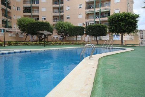 Wohnung zum Verkauf in Guardamar del Segura, Alicante, Spanien 3 Schlafzimmer, 75 m2 Nr. 183643 - Foto 2