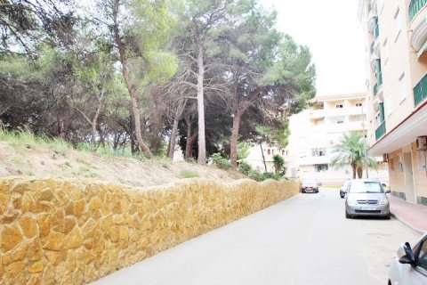 Wohnung zum Verkauf in Guardamar del Segura, Alicante, Spanien 3 Schlafzimmer, 75 m2 Nr. 183643 - Foto 21