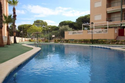 Wohnung zum Verkauf in Guardamar del Segura, Alicante, Spanien 3 Schlafzimmer, 75 m2 Nr. 183643 - Foto 24