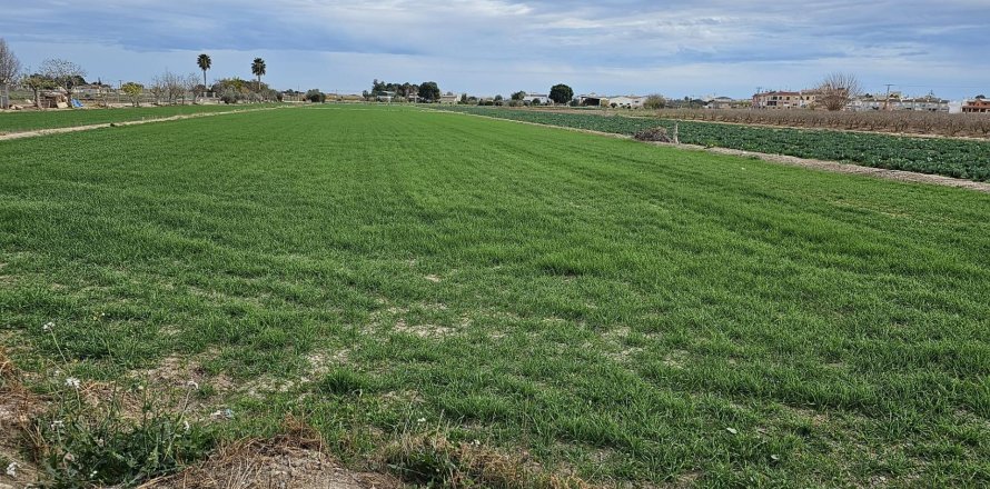 Land plot in Dolores, Alicante, Spain No. 183641