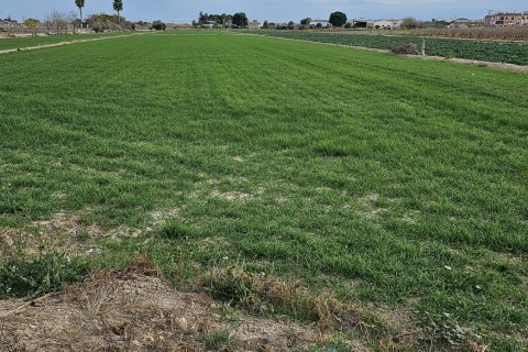 Land plot for sale in Dolores, Alicante, Spain No. 183641 - photo 2
