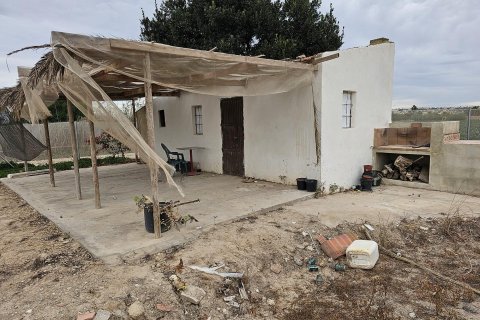 Land plot for sale in Guardamar del Segura, Alicante, Spain 46 sq.m. No. 183639 - photo 3