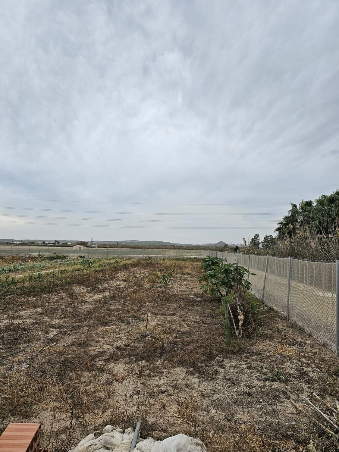 Parcela en Guardamar del Segura, Alicante, España 46 m2 No. 183639
