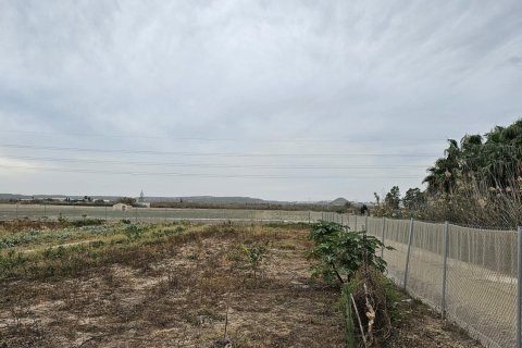 Land plot for sale in Guardamar del Segura, Alicante, Spain 46 sq.m. No. 183639 - photo 6