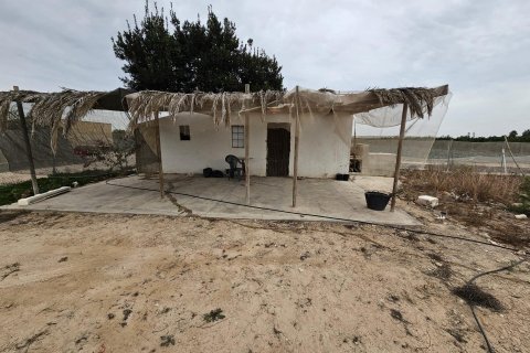 Land plot for sale in Guardamar del Segura, Alicante, Spain 46 sq.m. No. 183639 - photo 4