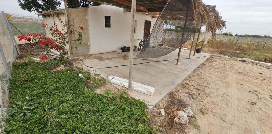 Land plot in Guardamar del Segura, Alicante, Spain 46 sq.m. No. 183639