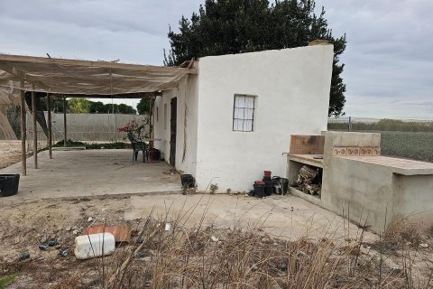 Land plot for sale in Guardamar del Segura, Alicante, Spain 46 sq.m. No. 183639 - photo 2