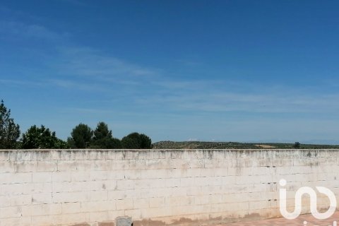 Działka w Hiszpanii 2048 mkw. nr 153412 – zdjęcie 9