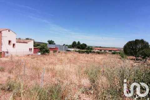 Działka w Hiszpanii 2048 mkw. nr 153412 – zdjęcie 3