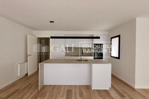 Huoneisto Principado De Andorra (Ninguna Poblacion Tiene C.P.), Lleida, Espanja 3 makuuhuonetta, 124 m2 No. 178420