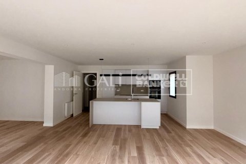 Lägenhet för uthyrning i Principado De Andorra (Ninguna Poblacion Tiene C.P.), Lleida, Spanien 3 sovrum, 124 kvm. Nr. 178420 - foto 2