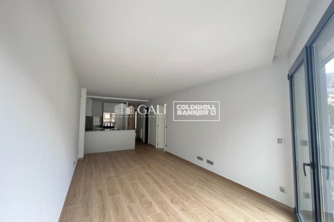 Huoneisto vuokrattavana Principado De Andorra (Ninguna Poblacion Tiene C.P.), Lleida, Espanja, 2 makuuhuonetta, 70 m2 No. 178418 - kuva 2