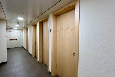 Toimisto vuokrattavana Principado De Andorra (Ninguna Poblacion Tiene C.P.), Lleida, Espanja , 115 m2 No. 178421 - kuva 11
