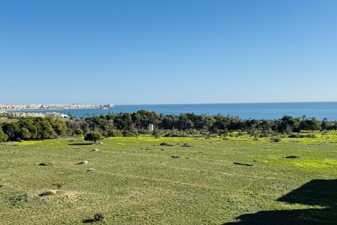 Apartament w Punta Prima, Alicante, Hiszpania 2 sypialnie, 70 mkw. nr 181061 – zdjęcie 25