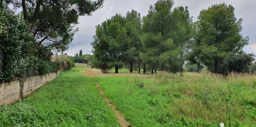 Terreno a Canovelles, Barcelona, Spagna 6766 mq. N° 153873