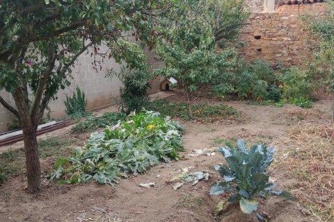 Продажа дома в Ла-Баньеса, Леон, Испания 5 спален, 237м2 №153875 - фото 22