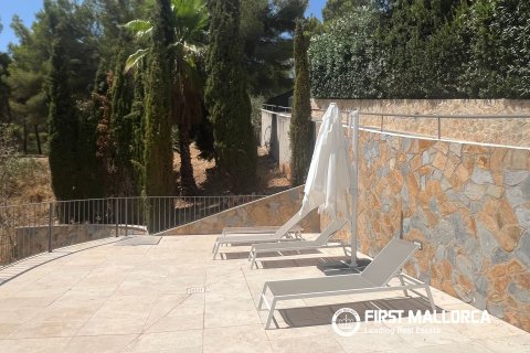 Lägenhet för uthyrning i Cas Catala, Mallorca, Spanien 5 sovrum, 248 kvm. Nr. 191618 - foto 28