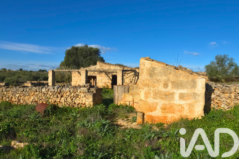 Продажа земельного участка в Санта-Маргалида, Майорка, Испания 14125м2 №185506 - фото 14