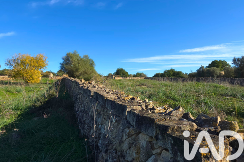 Продажа земельного участка в Санта-Маргалида, Майорка, Испания 14125м2 №185506 - фото 25