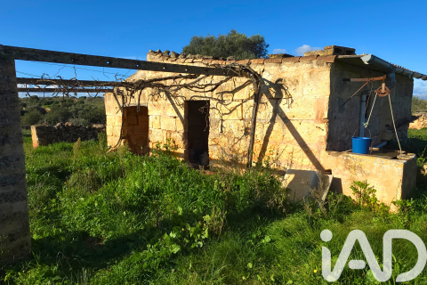 Продажа земельного участка в Санта-Маргалида, Майорка, Испания 14125м2 №185506 - фото 8