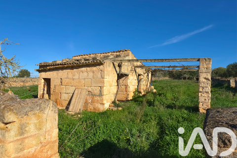 Parcela en Santa Margalida, Mallorca, España 14125 m2 No. 185506