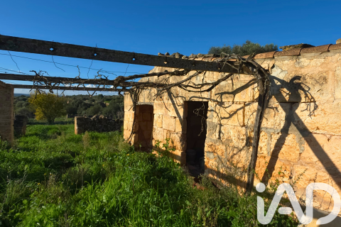 Продажа земельного участка в Санта-Маргалида, Майорка, Испания 14125м2 №185506 - фото 7