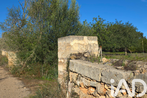 Продажа земельного участка в Санта-Маргалида, Майорка, Испания 14172м2 №185505 - фото 16