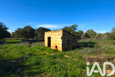 Продажа земельного участка в Санта-Маргалида, Майорка, Испания 14172м2 №185505 - фото 26
