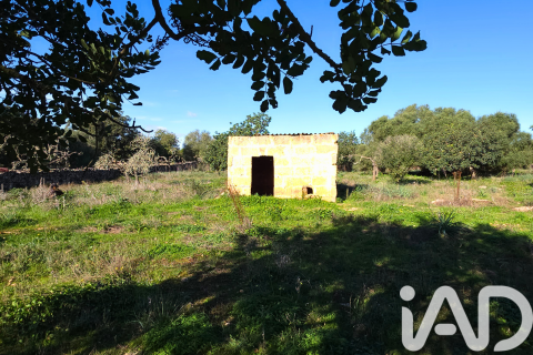 Продажа земельного участка в Санта-Маргалида, Майорка, Испания 14172м2 №185505 - фото 27