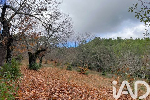 Продажа земельного участка в Галароса, Уэльва, Испания 20000м2 №185400 - фото 3