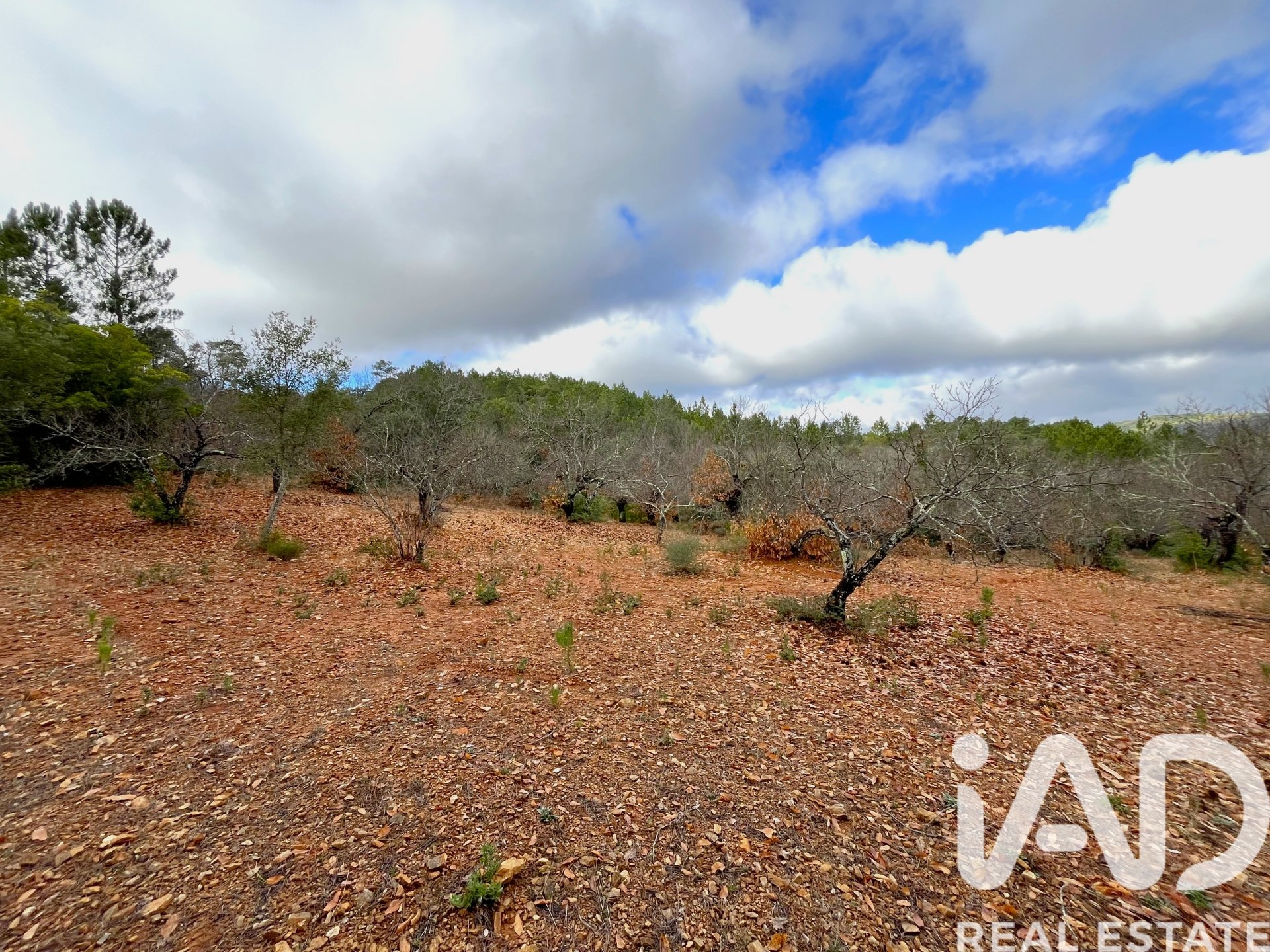 Parcela en Galaroza, Huelva, España 20000 m2 No. 185400