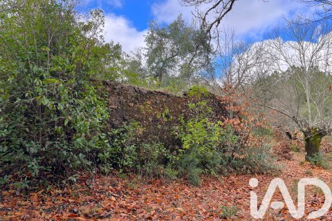 Land plot in Galaroza, Huelva, Spain 20000 sq.m. No. 185400