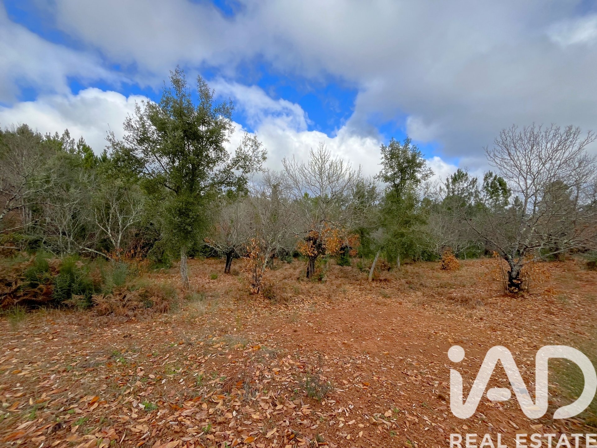 Parcela en Galaroza, Huelva, España 20000 m2 No. 185400
