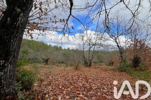 Продажа земельного участка в Галароса, Уэльва, Испания 20000м2 №185400 - фото 4