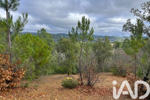 Продажа земельного участка в Галароса, Уэльва, Испания 20000м2 №185400 - фото 18