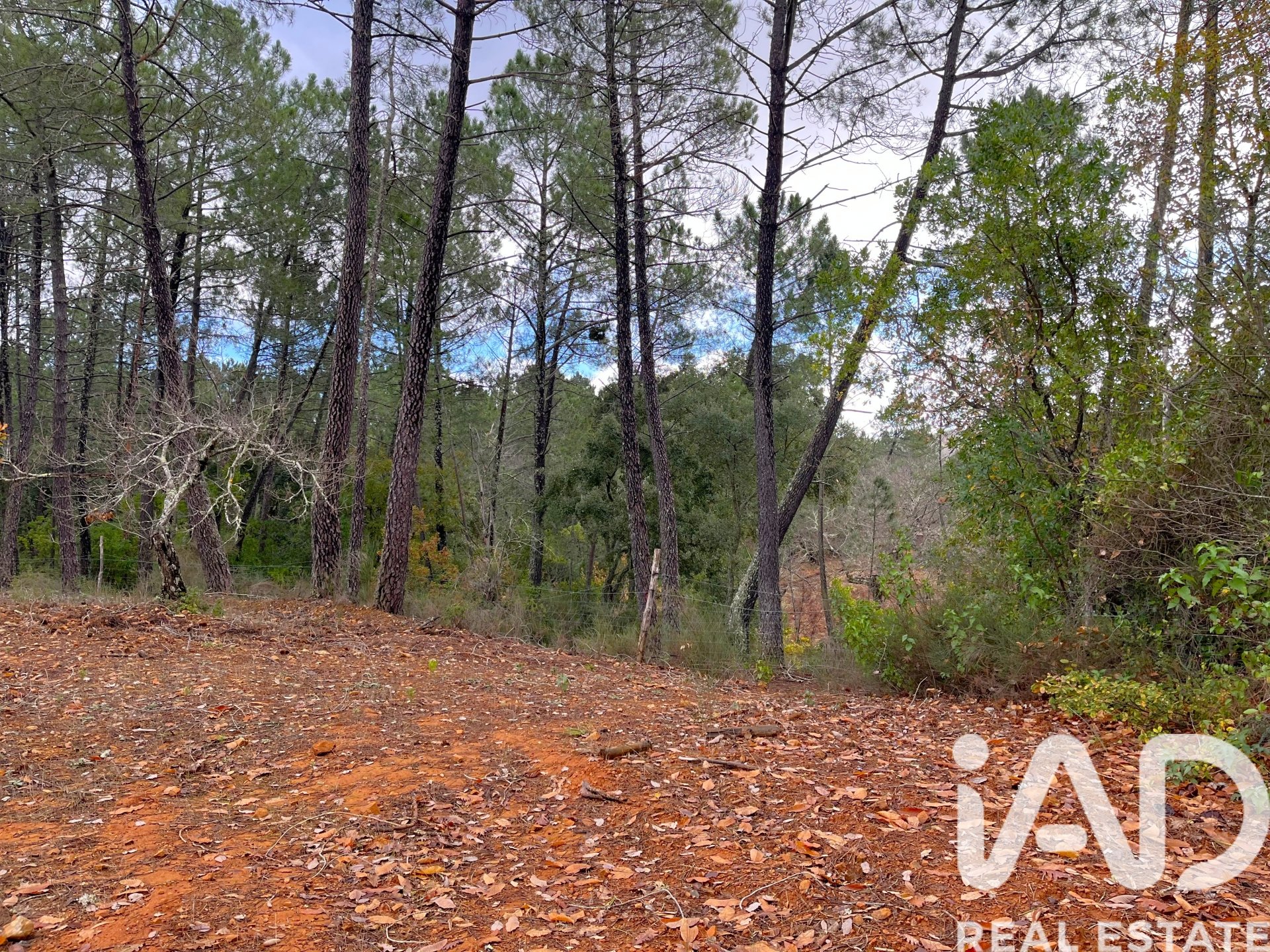 Parcela en Galaroza, Huelva, España 20000 m2 No. 185400