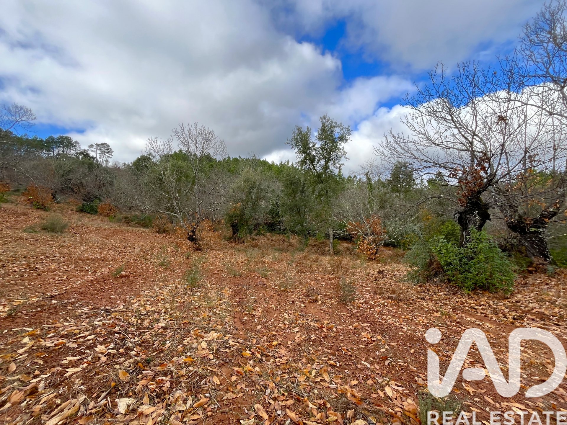 Parcela en Galaroza, Huelva, España 20000 m2 No. 185400
