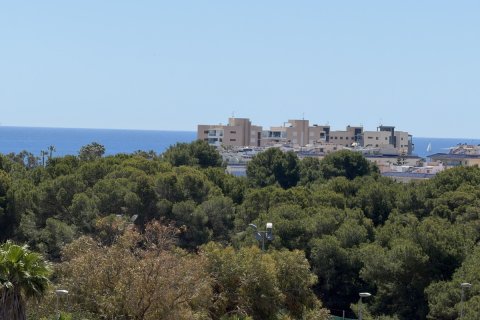 Huvila myytävänä Mil Palmeras, Alicante, Espanja, 4 makuuhuonetta, 160 m2 No. 190070 - kuva 30