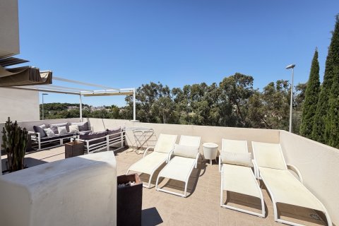 Huvila myytävänä Mil Palmeras, Alicante, Espanja, 4 makuuhuonetta, 160 m2 No. 190070 - kuva 25