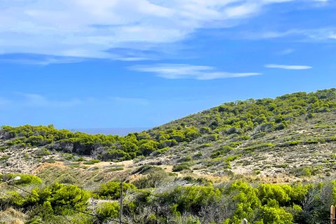 Villa à vendre à Cala Ratjada, Mallorca, Espagne, 5 chambres, 303 m2 No. 148595 - photo 20