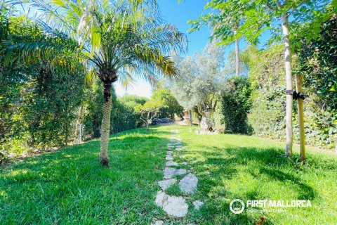 Huvila myytävänä Calvia, Mallorca, Espanja, 3 makuuhuonetta, 175 m2 No. 148600 - kuva 19