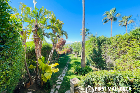 Villa for sale in Calvia, Mallorca, Spain 3 bedrooms, 175 sq.m. No. 148600 - photo 20