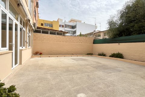 Huoneisto vuokrattavana Palma de Majorca, Mallorca, Espanja, 3 makuuhuonetta, 162 m2 No. 156224 - kuva 6