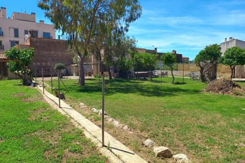 Продажа земельного участка в Андраткс, Майорка, Испания 1294м2 №156221 - фото 9