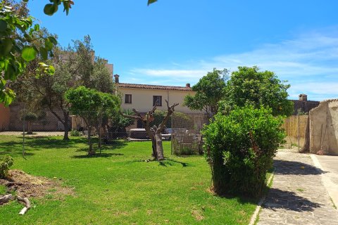 Продажа земельного участка в Андраткс, Майорка, Испания 1294м2 №156221 - фото 8