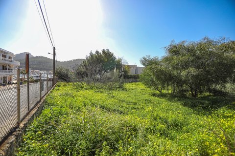 Zemes gabals pārdošanā Mallorca, Spānijā Nr. 148085 - attēls 10